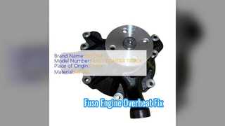 Mitsubishi Fuso Wasserpumpe 6D17 Motorreparatur