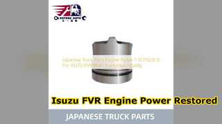 Premium Isuzu FVR 6SA1 Motorkolbenaustausch