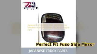 Austausch des Seitenspiegels für Mitsubishi Fuso SL 1662