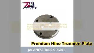 Hino 500 700 Zapfenplatte 49431 1020 Ersatz